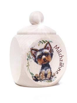 Yorkshire Terrier Junge MZD